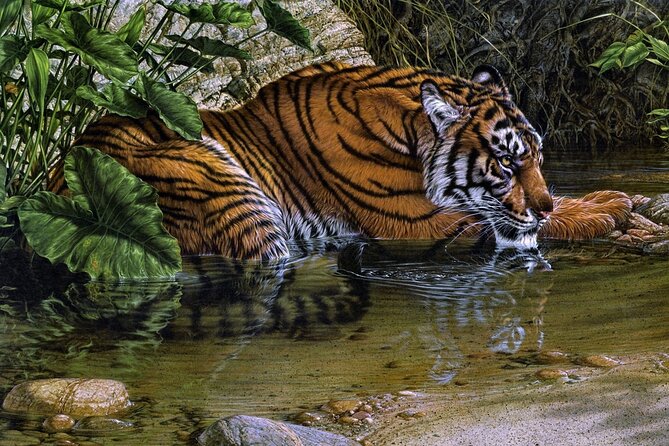 03 Days Private Wildlife Ranthambore Tiger Tour from Jaipur - Private AC transfers and your Day 3 timing reality