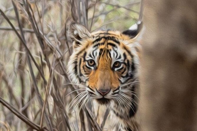 05 Days - Private Luxury Golden Triangle Tour with Ranthambore - Key Highlights That Make This Tour Worth a Second Look