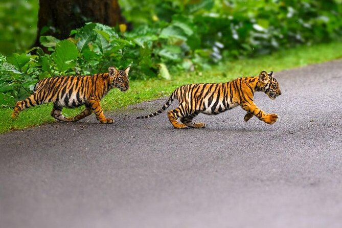05 Days - Private Luxury Golden Triangle Tour with Ranthambore - Should You Book It?