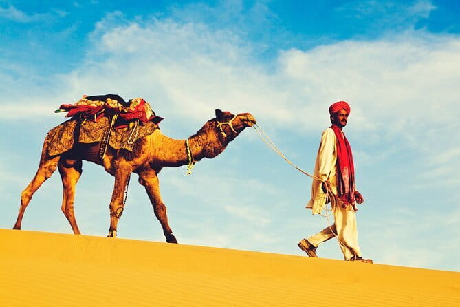 1-Night and 2-Days Thar Desert Safari Tour - Key things that make this safari work