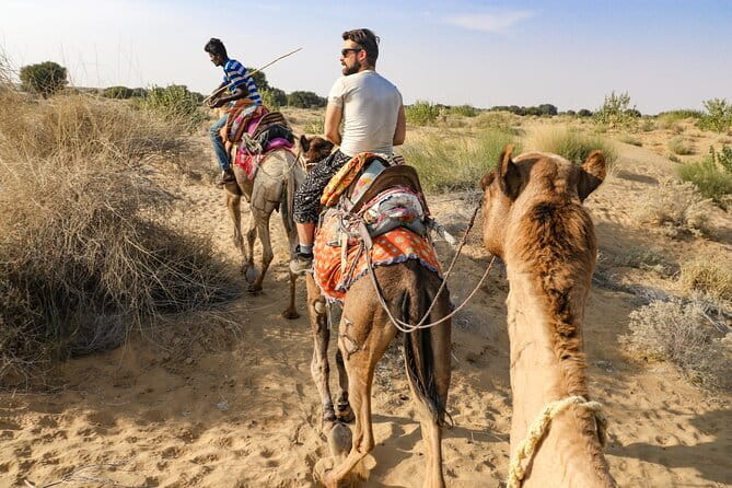 1-Night and 2-Days Thar Desert Safari Tour - Day 1 in plain terms: jeep transfer, sunrise breakfast, then Khaba Fort