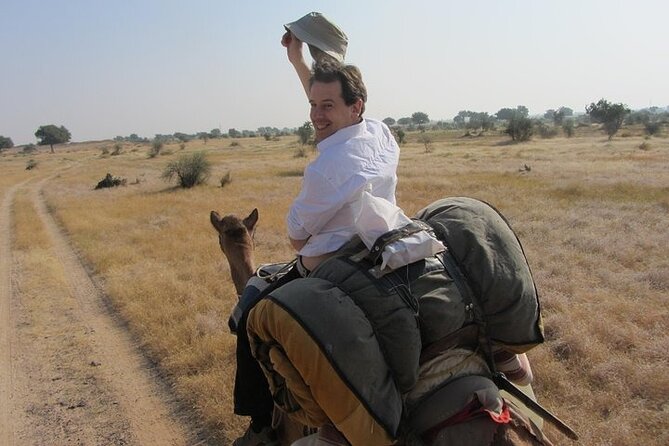 2 Days-1 Night Camel Tour - Price and Value: What You Get for About $112 per Person