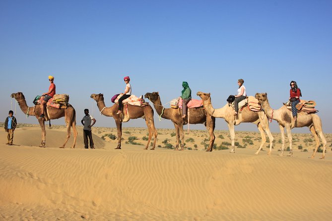 2 Days and 1 Night Camel Safari - Key Highlights You Should Know