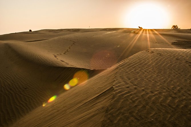 2 Days and 1 Night Camel Safari - The Camel Ride Into the Thar Desert