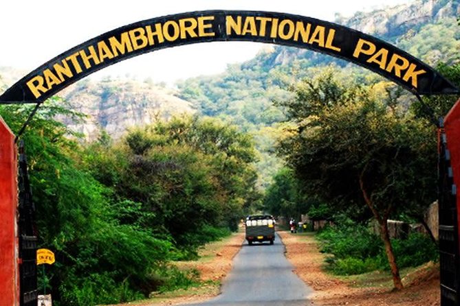 2-Days Private Ranthambhore Tiger Tour from Jaipur - Four-star jungle resort time: comfort you will appreciate