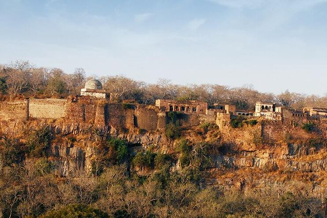 2 Days Ranthambore Tiger Safari with Tickets - Day 2: Ranthambore National Park Safari Time (What Four Hours Really Means)
