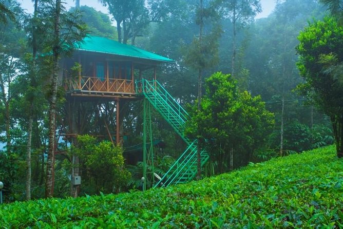 2 Nights Munnar Treehouse Escape with Private Car- Iris Holidays - Why the treehouse base changes how you enjoy Munnar