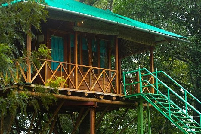 2 Nights Munnar Treehouse Escape with Private Car- Iris Holidays - Day 2 in Munnar: Eravikulam National Park, then tea museum learning time