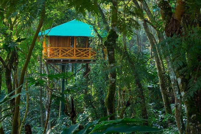 2 Nights Munnar Treehouse Escape with Private Car- Iris Holidays - Day 1: Tea gardens and waterfall stops on the way up