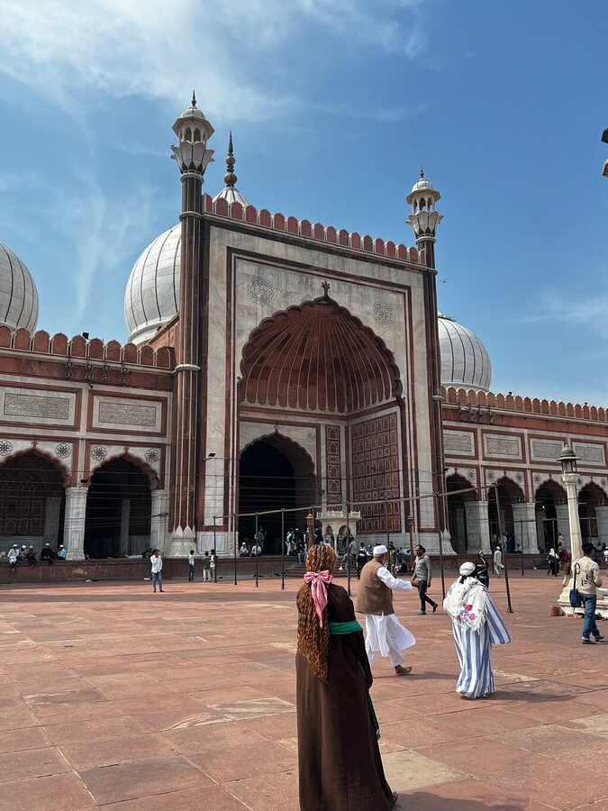3 Days 2 Night Golden Triangle Tour – Private Luxury Experience - Guides and drivers: what to expect from the people behind the route