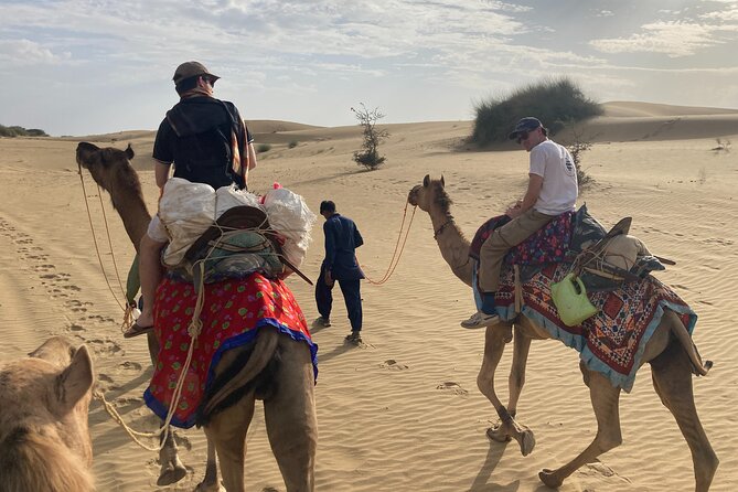 3 Days Tour in Wild Desert Safari - Why This 3-Day Thar Safari Feels Like More Than a Ride