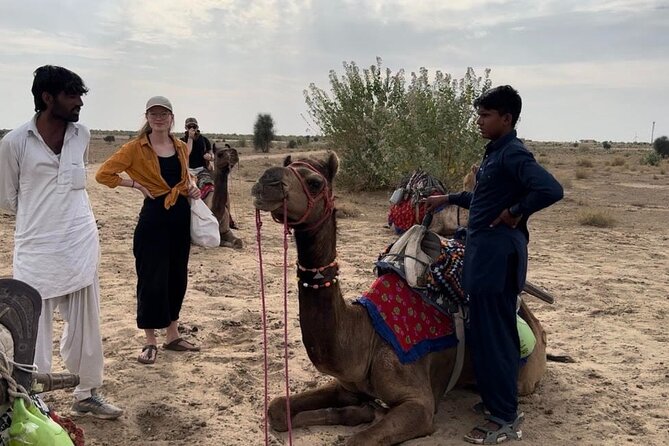 3 Days Tour in Wild Desert Safari - Getting Oriented: Where It Starts, How Pickup Works