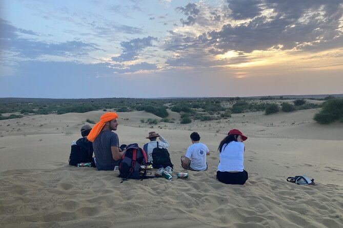 3 Days Tour in Wild Desert Safari - Day 2: Your Choice Menu in the Thar, Camel Trek, Jeep Safari, or Monuments