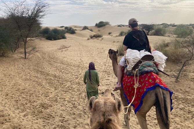 3 Days Tour in Wild Desert Safari - Day 3: Sunrise Breakfast, Final Camel Ride, and a Return Around 11:00