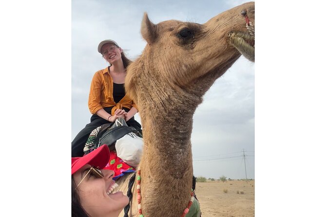 3 Days Tour in Wild Desert Safari - The Camp and Stay Side: What You Can Expect From Wonbin Safari