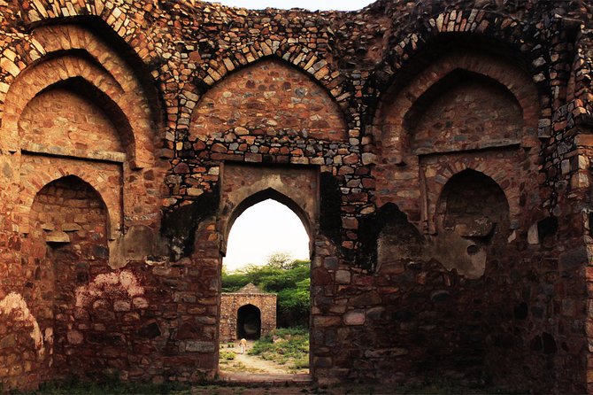 3-Hour Mehrauli Archaeological Park Ruins Walking Tour Delhi - Guides make the difference, and this one can talk history