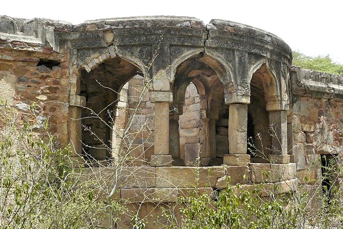 3-Hour Mehrauli Archaeological Park Ruins Walking Tour Delhi - Logistics that actually affect your day