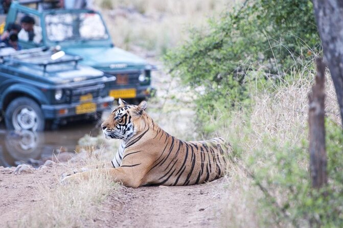 4 Day Golden Triangle with Ranthambore Tiger Safari Tour from Delhi - Quick Takeaways Before You Go