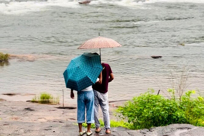 4 Day Kerala Tour Athirappilly Munnar Alleppey - Tea Green trekking adventure: photo stops without overpromising
