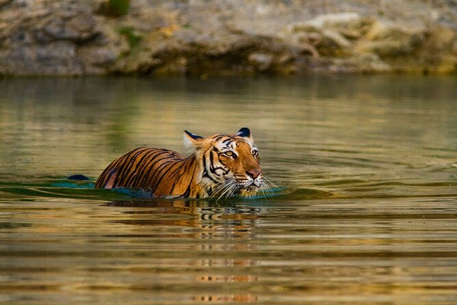 4-Day Private Ranthambhore Tiger Tour Including Delhi, Agra and Jaipur - Jantar Mantar and your finish in Jaipur or back to Delhi