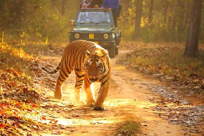 4-Day Private Ranthambhore Tiger Tour Including Delhi, Agra and Jaipur - Day 1 Delhi first, with the big UNESCO names