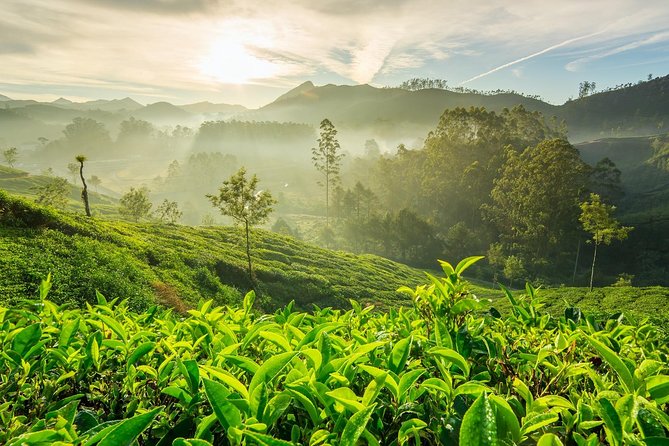 4 Days Best of Kerala Tour with Private Houseboat, Sightseeing & Car - Why This 4-Day Kerala Route Makes Sense