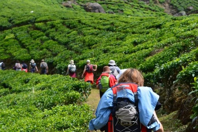 4 Days Best of Kerala Tour with Private Houseboat, Sightseeing & Car - Tickets, Timing, and How to Avoid Hidden Costs