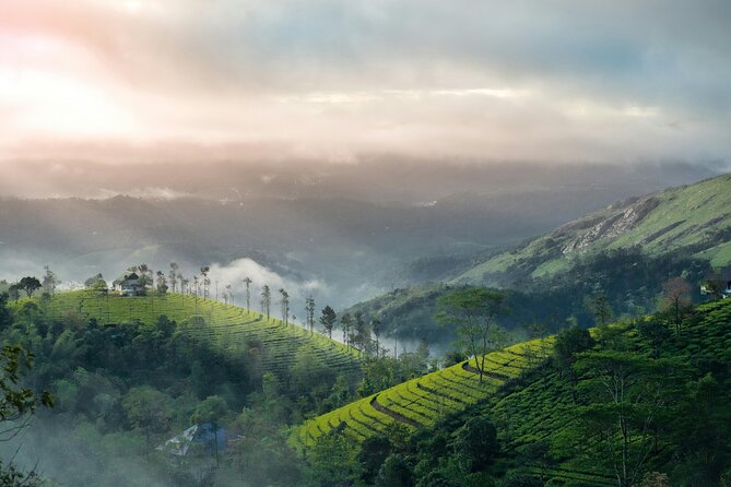 4 Days Private Kerala Tour -Kochi, Munnar, Thekkady with 3<em> Hotel – Key highlights at a glance’ /></p>
<ul>
<li><strong>Private, air-conditioned vehicle</strong> for the whole circuit, with driver, fuel, tolls, and parking handled</li>
<li><strong>Munnar tea-and-waterfalls first day</strong>, including the big views from Cheeyappara and Valara</li>
<li><strong>Dam-and-garden day in Munnar</strong>, with Kundala Lake, Echo Point, Mattupetty Dam, and more</li>
<li><strong>Periyar Lake wildlife time</strong>, built around the Periyar Wildlife Sanctuary shoreline</li>
<li><strong>Fort Kochi walking day</strong>, with Chinese Fishing Nets, Princess Street, and Santa Cruz Cathedral Basilica</li>
</ul>
<div class="twil" style="margin: 20px 0; padding: 15px 0;"><p>Fort Kochi, more ways in</p><ul style="margin: 10px 0; padding: 0; list-style: none; display: grid; grid-template-columns: repeat(auto-fill, minmax(250px, 1fr)); gap: 14px;"><li style="border: 1px solid #e5e5e5; border-radius: 8px; overflow: hidden; line-height: 1.4; background: #fff;"><a href="https://indiatourreviews.com/adventure-tuk-tuk-tour-in-kochi-a-private-guided-tour-with-hotel-pick-up/" aria-hidden="true" tabindex="-1"><img decoding="async" style="width: 100%; height: 150px; object-fit: cover; display: block;" src="https://asset.indiatourreviews.com/wp-content/uploads/adventure-tuk-tuk-tour-in-kochi-a-private-guided-tour-with-hotel-pick-up-400x267.jpg" alt="" loading="lazy"></a><div style="padding: 10px 12px;"><a href="https://indiatourreviews.com/adventure-tuk-tuk-tour-in-kochi-a-private-guided-tour-with-hotel-pick-up/" style="font-weight: 600;">Adventure Tuk Tuk Tour in kochi – A Private Guided Tour with Hotel Pick up</a><br><span style="font-size: 0.82em; color: #555; margin-top: 4px;"><span style="color: #A62B4C;">★</span> 5.0 &middot; 579 reviews</span></div></li><li style="border: 1px solid #e5e5e5; border-radius: 8px; overflow: hidden; line-height: 1.4; background: #fff;"><a href="https://indiatourreviews.com/cochin-backwater-village-eco-boat-cruise-with-lunch/" aria-hidden="true" tabindex="-1"><img decoding="async" style="width: 100%; height: 150px; object-fit: cover; display: block;" src="https://asset.indiatourreviews.com/wp-content/uploads/cochin-backwater-village-eco-boat-cruise-with-lunch-400x173.jpg" alt="" loading="lazy"></a><div style="padding: 10px 12px;"><a href="https://indiatourreviews.com/cochin-backwater-village-eco-boat-cruise-with-lunch/" style="font-weight: 600;">Cochin: Backwater Village Eco Boat Cruise with Lunch</a><br><span style="font-size: 0.82em; color: #555; margin-top: 4px;"><span style="color: #A62B4C;">★</span> 4.8 &middot; 502 reviews</span></div></li><li style="border: 1px solid #e5e5e5; border-radius: 8px; overflow: hidden; line-height: 1.4; background: #fff;"><a href="https://indiatourreviews.com/kochi-private-tuk-tuk-city-tour-with-hotel-pickup/" aria-hidden="true" tabindex="-1"><img decoding="async" style="width: 100%; height: 150px; object-fit: cover; display: block;" src="https://asset.indiatourreviews.com/wp-content/uploads/kochi-private-tuk-tuk-city-tour-with-hotel-pickup-400x300.jpg" alt="" loading="lazy"></a><div style="padding: 10px 12px;"><a href="https://indiatourreviews.com/kochi-private-tuk-tuk-city-tour-with-hotel-pickup/" style="font-weight: 600;">Kochi: Private Tuk-Tuk City Tour with Hotel Pickup</a><br><span style="font-size: 0.82em; color: #555; margin-top: 4px;"><span style="color: #A62B4C;">★</span> 4.8 &middot; 292 reviews</span></div></li><li style="border: 1px solid #e5e5e5; border-radius: 8px; overflow: hidden; line-height: 1.4; background: #fff;"><a href="https://indiatourreviews.com/half-day-tuk-tuk-tour-in-kochi-private-tour-with-hotel-pick-up/" aria-hidden="true" tabindex="-1"><img decoding="async" style="width: 100%; height: 150px; object-fit: cover; display: block;" src="https://asset.indiatourreviews.com/wp-content/uploads/half-day-tuk-tuk-tour-in-kochi-private-tour-with-hotel-pick-up-400x267.jpg" alt="" loading="lazy"></a><div style="padding: 10px 12px;"><a href="https://indiatourreviews.com/half-day-tuk-tuk-tour-in-kochi-private-tour-with-hotel-pick-up/" style="font-weight: 600;">Half Day Tuk Tuk Tour in Kochi – Private Tour with Hotel Pick up</a><br><span style="font-size: 0.82em; color: #555; margin-top: 4px;"><span style="color: #A62B4C;">★</span> 5.0 &middot; 278 reviews</span></div></li></ul></div><h2 id="entering-munnar-from-kochi-airport-meet-cheeyappara-valara-and-tea-museums">Entering Munnar from Kochi: Airport meet, Cheeyappara, Valara, and tea museums</h2>
<p> Hotel – Entering Munnar from Kochi: Airport meet, Cheeyappara, Valara, and tea museums’ /><br />
Day 1 is all about getting you out of the city and into Kerala’s cooler, hill-station rhythm without wasting your day. You land at <strong>Cochin International Airport</strong>, and a representative meets you before you head toward <strong>Munnar</strong>. The drive is part of the experience here. You are traveling through the green corridor that makes Kerala famous, and the early start helps you reach Munnar before the day gets sleepy.</p>
<p><p>The first nature stops are the <strong>Cheeyappara Waterfalls</strong> and the nearby <strong>Valara Waterfalls</strong>. Cheeyappara is described as a seven-tier waterfall with water dropping from about 1000 feet. This is the kind of spot where the short time limit can actually work in your favor. You are not stuck indoors or in a long line, you get your photos, you feel the spray, and then you move on. Valara complements it, and the timing matters: it can look especially good during monsoon and post-monsoon seasons, when waterfalls tend to have more presence.</p>
</p>
<p><p>After waterfalls, you get a calmer, more educational turn with the <strong>Tea Museum</strong> in Munnar. This is the place to understand how tea moves from plants to a finished product. Even if you are not a tea-nerd, it helps you look at the estates with better context, instead of just admiring the views. The museum entry is not included, so plan for a paid ticket if you want to go in.</p>
</p>
<p><p>Then you have the <strong>Government Botanical Garden</strong>. It is known for a large variety of flowering plants, plus open-theatre-style space and walkways. The practical value of a garden stop is simple: it breaks up the day without the fatigue of another long drive. It is also a good choice if weather changes quickly. Garden walks are easy to flex based on how cloudy or rainy it feels.</p>
</p>
<p><p><strong>What to watch for:</strong> waterfalls can be slippery, and the hill air can feel cooler than you expect. Bring a light rain layer even if the forecast looks okay.</p>
</p>
<h2 id="munnar-in-one-packed-day-kundala-lake-echo-point-mattupetty-dam-and-the-eravikulam-tahr-factor">Munnar in one packed day: Kundala Lake, Echo Point, Mattupetty Dam, and the Eravikulam tahr factor</h2>
<p><img width="669" height="446" decoding="async" src=