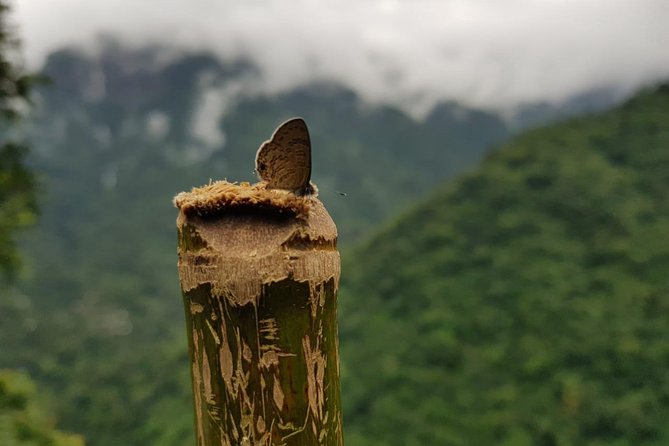 4D/3N Glimpse of Meghalaya - Key takeaways before you go
