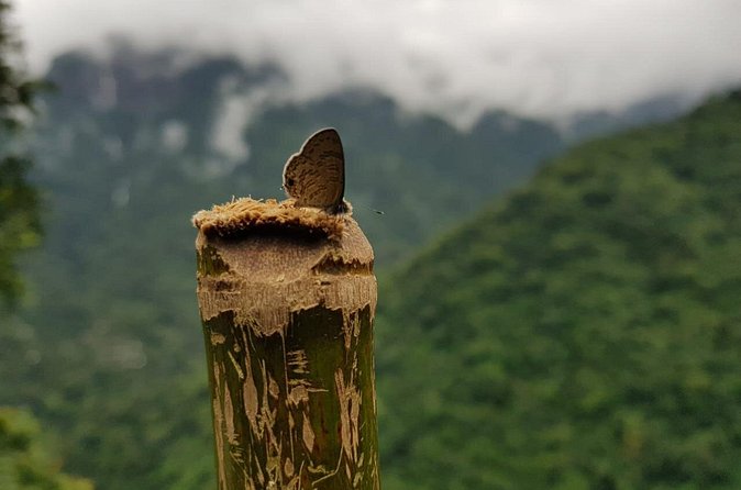 4D/3N Glimpse of Meghalaya - Day 2: viewpoints, falls, caves, and the zip-line thrill
