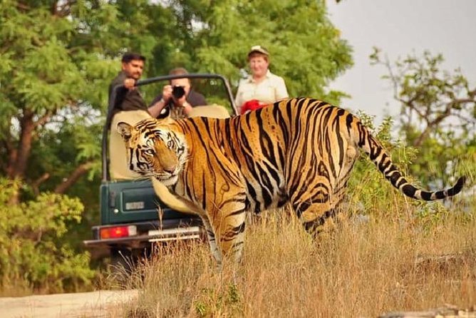 5-Day Private Delhi, Agra and Jaipur with Ranthambhore Tiger Tour From Delhi - Day 2 to Agra: Sunrise Taj Mahal and Agra Fort’s long Mughal shadow