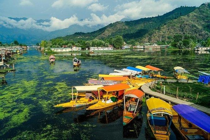 5-Days Kashmir tour includes Accommodation and Private Transportation - Meeting Srinagar at the right time, and how pickup works