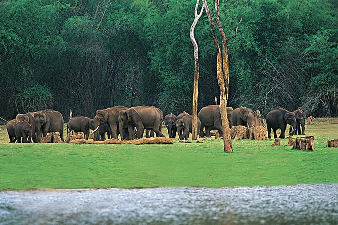 5 Days Kerala Tour Package With 4 Star Stays & Private Houseboat - Key highlights that make this package worth a look