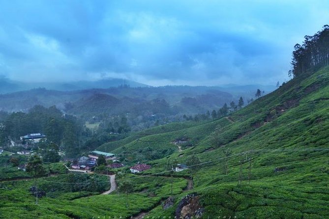 5 Days Kerala Tour Package With 4 Star Stays & Private Houseboat - Day 2 around Munnar: lakes, echo views, tea culture, and Eravikulam
