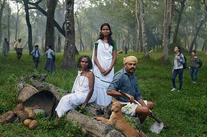 5 Days Kerala Tour with Private Car Houseboat Munnar and Thekkady - Key highlights you should care about