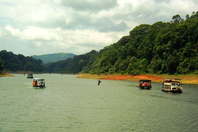 5 Days Kerala Tour with Private Car Houseboat Munnar and Thekkady - Practical tips so your trip stays smooth