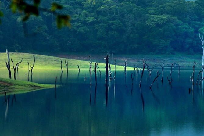 5 Days Luxury Kerala Tour with Houseboat Experience - From Cochin to Munnar: waterfalls, tea, and spice stops before hotel time
