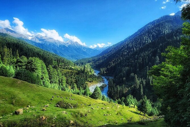 6 Days Private Tour in Kashmir - Pahalgam Day 3 and the Side Valleys: Where the Scenery Gets Quiet