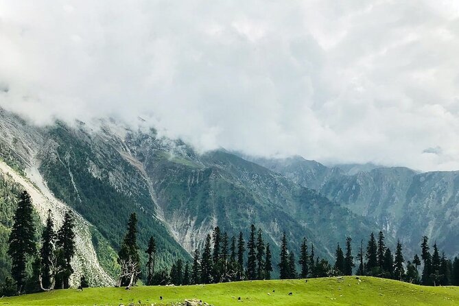 6 Days Private Tour in Kashmir Valley - Sonamarg and the Thajiwas Glacier: Trek the Ice or Take the Pony Option