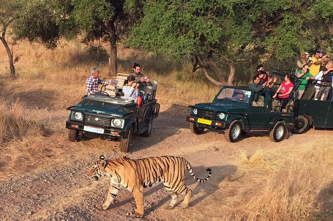 7-Day Golden Triangle & Ranthambore Tiger Safari from Delhi - Starting in Delhi: Airport Pick-up and a Simple Day 1