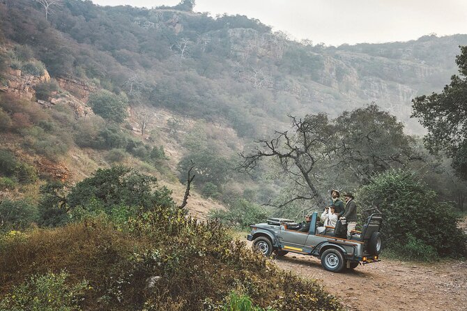 7-Day Golden Triangle Tour with Ranthambore Tiger Safari - The Golden Triangle meets Ranthambore, and that mix is the point