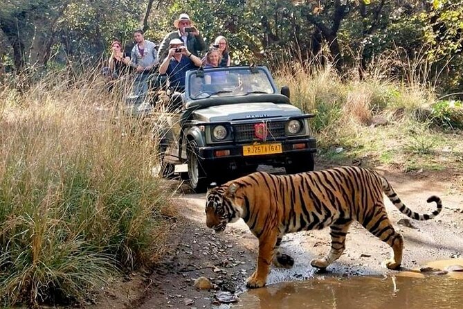 7-Day Golden Triangle Tour with Ranthambore Tiger Safari - Day 1 in Delhi: your arrival day is kept simple