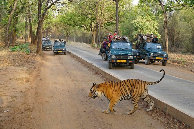 8 Day Golden Triangle Tour with Ranthambore {Taj , Tigers & More} - Delhi Sightseeing with a Tuk-Tuk Moment and the Mughal Highlights