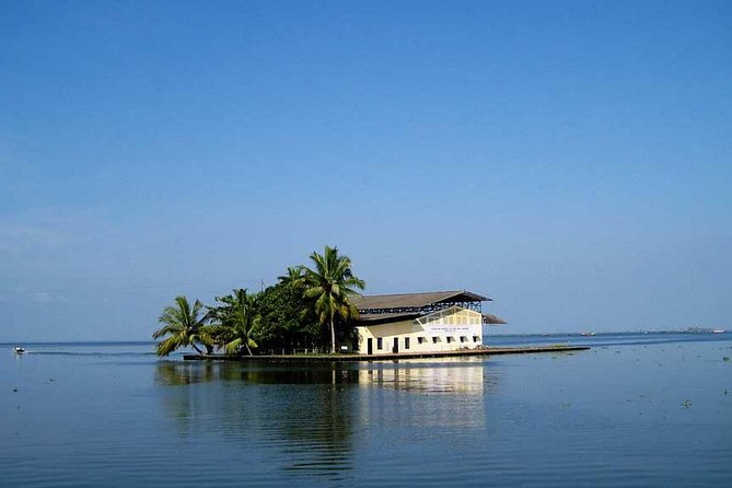 8 Days Kerala Private Tour (3 Star) with Munnar, Houseboat & Cab- Iris Holidays - Munnar Day: Tea Views, Mattupetty, and Echo Point