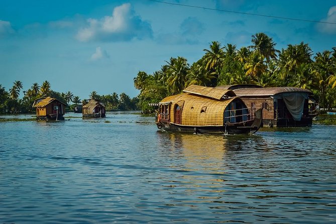 9 Days Private Exotic Kerala Tour - Alleppey houseboat night: the most different day of the trip