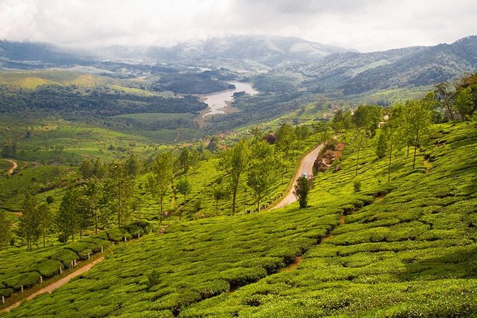 9 Days Private Exotic Kerala Tour - Periyar and Thekkady: wildlife sanctuary time plus a boat ride