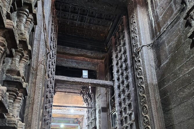 A Guided Cultural Immersion:Meenakshi Temple’s Night Ceremony - Price and logistics: does $29 make sense?