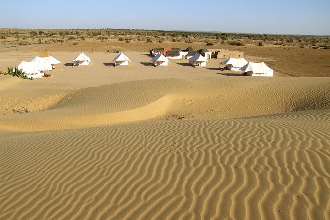A Night in Thar Desert – Unforgettable Luxury Camel Safari - Key things that make this camel safari worth your time