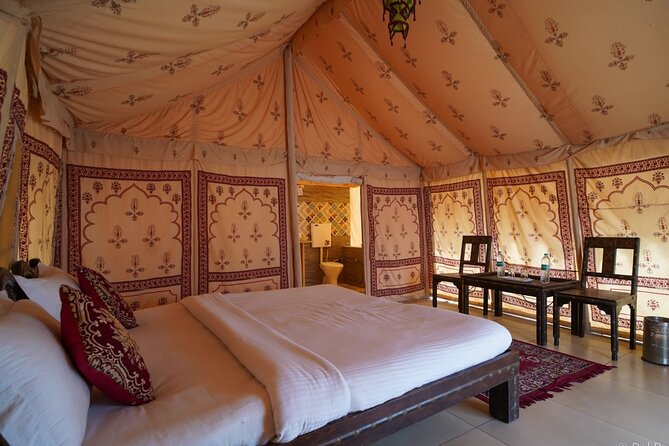 A Night in Thar Desert – Unforgettable Luxury Camel Safari - Camp dinner plus folk music, the kind of evening you remember