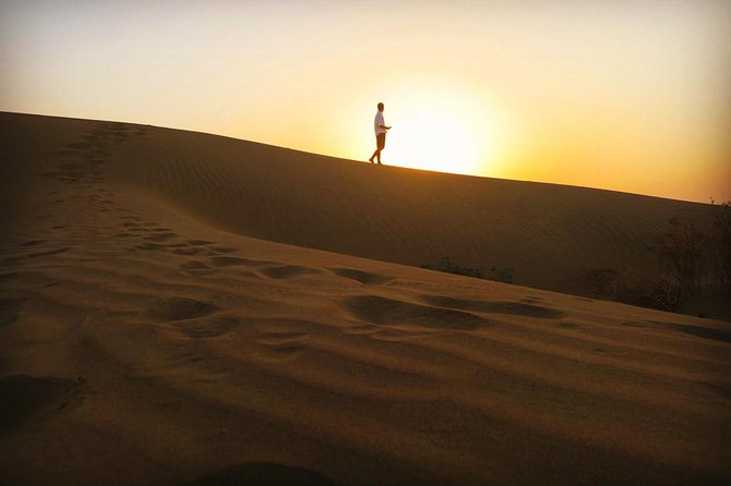 Adventure Night With Cultural Show - Sunset camel ride in the Thar Desert: the part you’ll remember